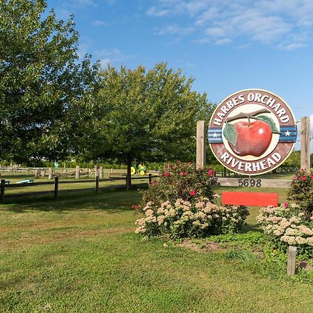 Large Modern North Fork Barn:Vineyards In Backyard, Harbes Farms Mattituck Exterior foto